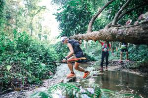 BIB: 
                            <button type="button" onclick="openModal(25434806)" class="btn btn-primary btn-sm float-right btn-popup" data-toggle="modal" data-target=".modal-high-quality">
                        <i class="fas fa-shopping-cart"></i> Add to Cart
                    </button>
                                            <button type="button" onclick="isThisMe(25434806, true)" class="btn btn-success btn-sm float-right btn-popup btn-isme hidden" data-toggle="tooltip" data-placement="bottom" title="นี่คือรูปของคุณใช่ไหม คลิกที่นี่เพื่อเอาเข้าอัลบั้ม">
                        <i class="fas fa-plus"></i> Add to album
                    </button>
                    <button type="button" onclick="isThisMe(25434806, false)" class="btn btn-warning btn-sm float-right btn-popup btn-isnotme hidden">
                        <i class="fas fa-ban"></i> Remove from album
                    </button>